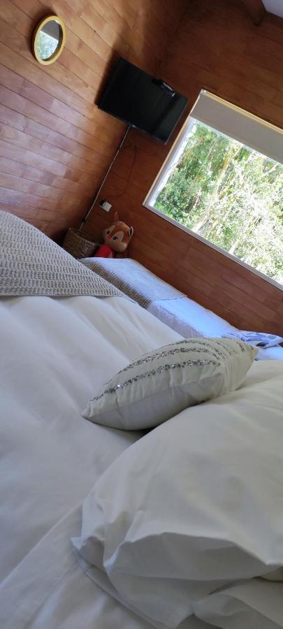 Acogedora Cabana En El Bosque, Acceso Vehiculos 4X4 コチャモ エクステリア 写真